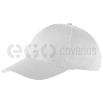 Watson 6 panel cap