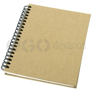 Mendel notebook
