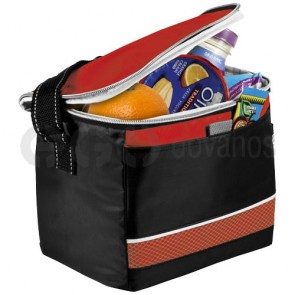 Levi sport cooler bag