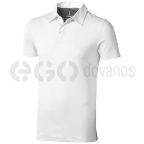 Markham polo