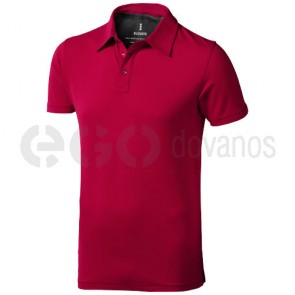 Markham polo