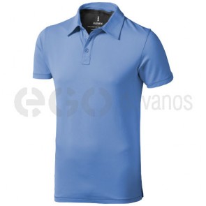 Markham polo