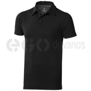 Markham polo